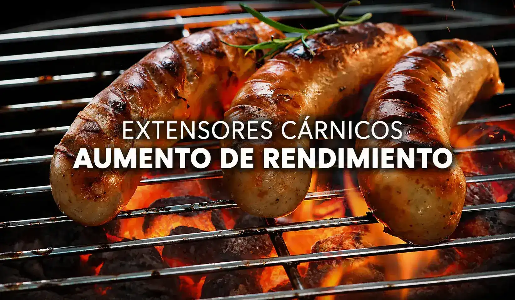 Extensores Cárnicos